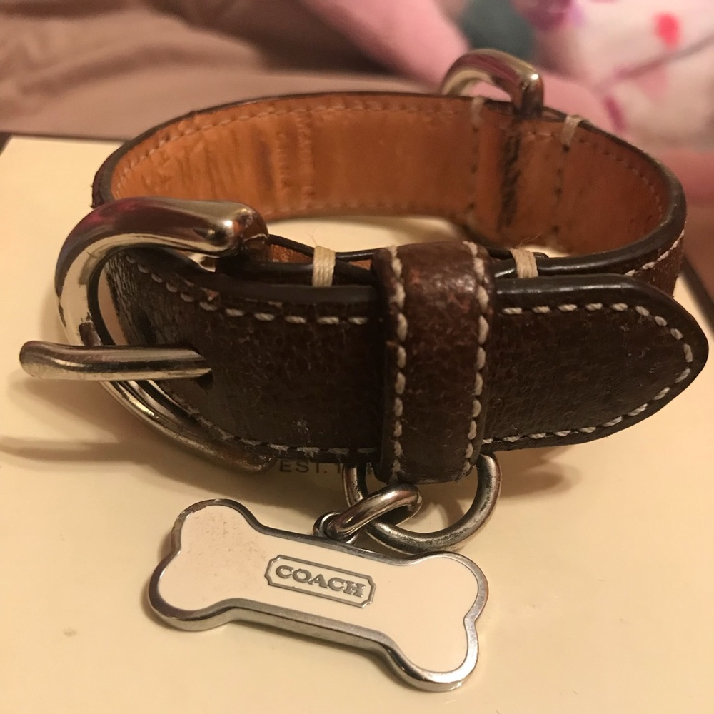 Coach Dog Collar. XXS